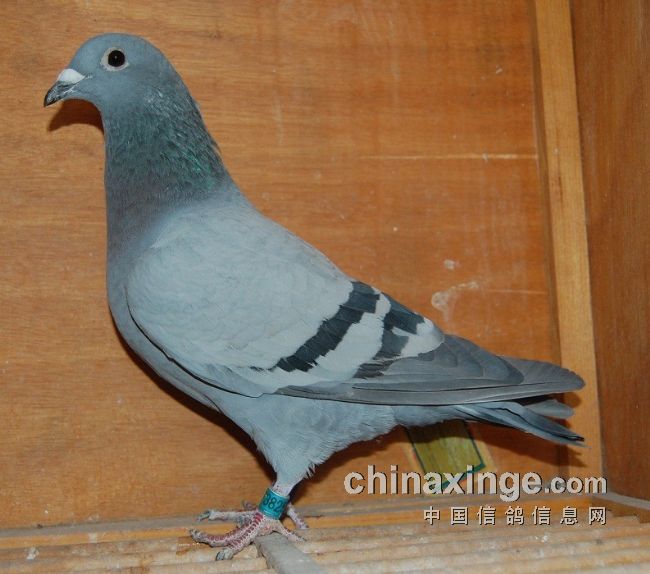 �������Ŀ�����ڼǡ��ĺ����