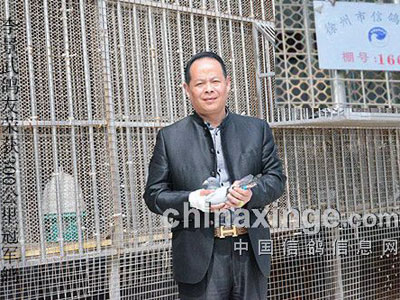 ���ݴ����׹أ����Ұ������Ǽ���(ͼ)