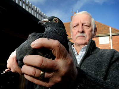 Ӣ���ֿϿ���������ǹ���¼�(ͼ)