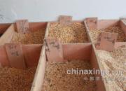 ���������۸�֪����(ͼ)