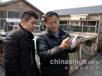 �Ϻ����ӡ���С�����������ݸ���������(��)