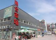 ���������Ÿ���һƳ(ͼ)