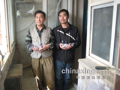 ������̨����Ф���ܶ�ڼ�(ͼ)