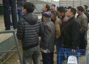 �Ͳ����д����̽��(ͼ)