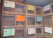 Ϊ20���ָ���м������(ͼ)