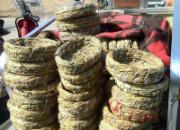 ��ɽ����һ��(ͼ)