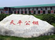 ��������Ȧ�ڵġ����ǡ�(ͼ)