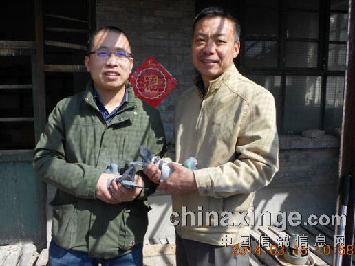 ��������30�꣺������Ѫ��ϵ����(ͼ)