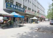 ������ƽɳ�Ӹ���һƳ(ͼ)