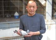 �Ǹ���300����ھ��ɼ���Ч(ͼ)