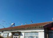 ����˵����ү�������ħ��(ͼ)