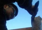 ũ����Ѹ������(ͼ)