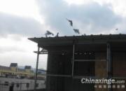 �ݷ�80�������ΰ��(ͼ)