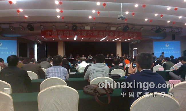 �����и�Э�����Ƭ(ͼ)