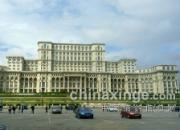 �߽����������������˶�(ͼ)