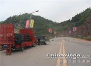 ������100�����ٶ����鳲��(ͼ)