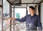 �����Ѯ���ѣ�ҽ��˼��������(ͼ)