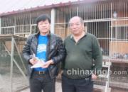 �����������ľ��ȸ�ͼ