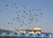 ����ǧ�� ��������칫��(ͼ)