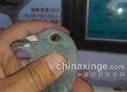 ���������裺��̨���ǰʮ����Ƭ