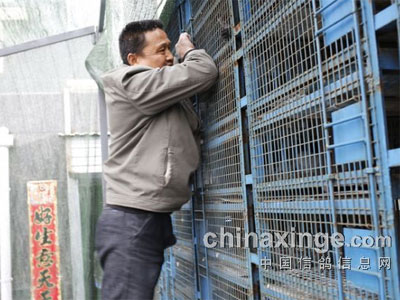 ̫�ȴ�ͬ�����뻨��(ͼ)