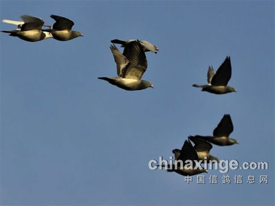 ����Ľ��� 