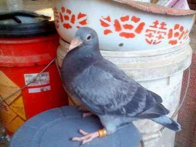 ���Һ���ô�Ǽ���ɫ��