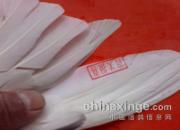 �����ٺ����ظ������׹ش���(ͼ)