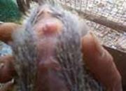 ���վ�������ָҰ�롱(ͼ)