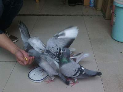 ѧ������ʵϰǰ�����뽤��(ͼ)