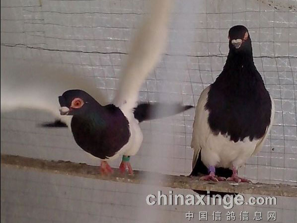 ��һ���£���ҷ���ϲ�ĸ�(ͼ)