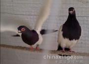 ��һ���£���ҷ���ϲ�ĸ�(ͼ)