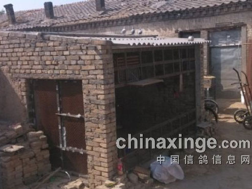 Բ�Σ���һ����Ὠ��(ͼ)