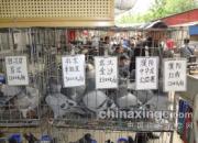 ����֣�ݸ��У�������ҩ����(ͼ)