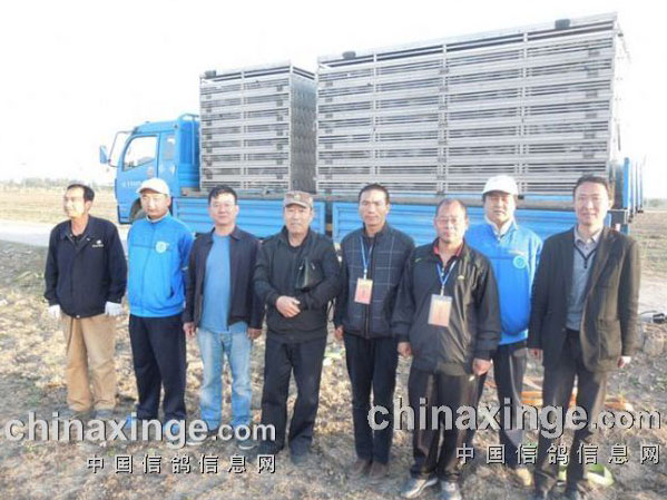 �����ɺ繫���һ�ر����ɹ�(ͼ)