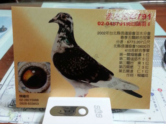 ���ͣ�̨��02������½��ھ�(ͼ)