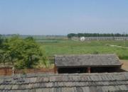 ʲôʱ���ܻ��ϼ����룿(ͼ)