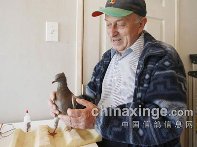 ������ү���볬��40ֻ �������ٲ��(ͼ)