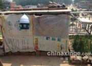 ʮ��������룺����Ƽ�����(ͼ)