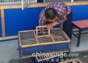 С����԰�800������ս������(ͼ)