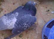 ��û���ѣ������䡱������־(ͼ)