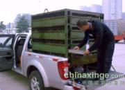 ֣�ݹ��������ţ��ж����ŭ(ͼ)