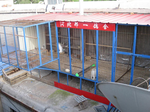 ʮ���ָ�ľ�������(ͼ)