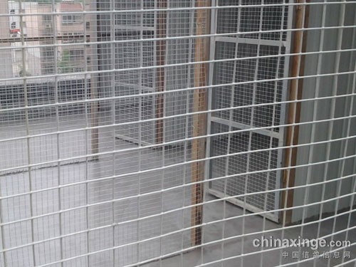 �۸�����������(ͼ)