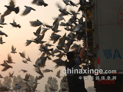 �人�����뱭����һ����֣������