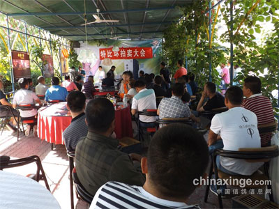 �½�ʯ����һ����Ĺ����رȻ������ֳ�