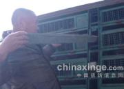 �������ս�߰٣��������20��(ͼ)