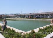 ������������Ӱ(ͼ)