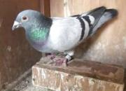 ������󣺳¹��ҹھ���