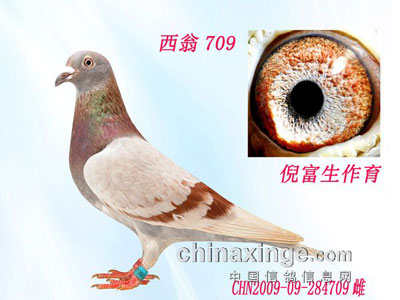 �Ϻ��ϸ����߸��������̸�(ͼ)